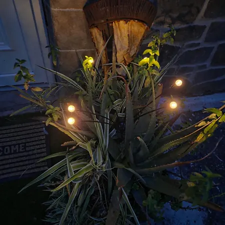 Nid D'amour * Bastia (Corsica)